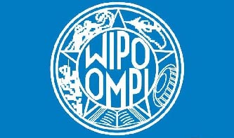 阎晓宏当选世界知识产权组织《视听表演北京条约》首届缔约方会议主席 阎晓宏当选世界知识产权组织《视听表演北京条约》首届缔约方会议主席